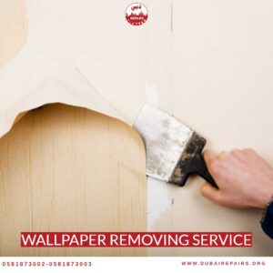 Wallpaper Removing Service