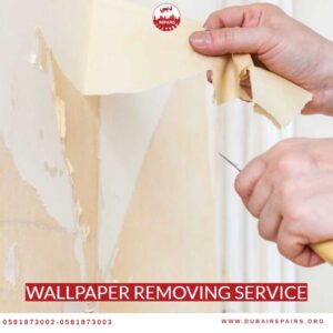 Wallpaper Removing Service