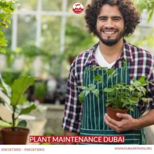 Plant Maintenance Dubai