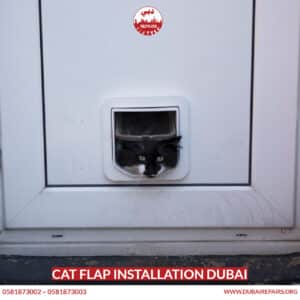Cat Flap Installation Dubai