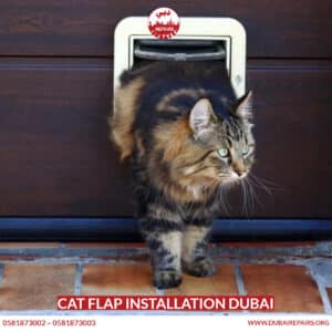 Cat Flap Installation Dubai