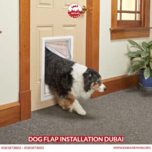 Dog Flap Installation Dubai 