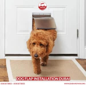 Dog Flap Installation Dubai 