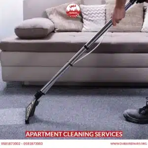 Apartment Cleaning Services 