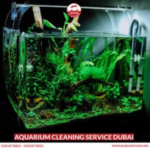 Aquarium Cleaning Service Dubai