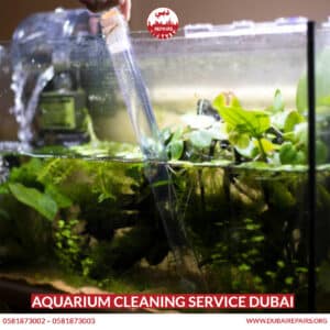 Aquarium Cleaning Service Dubai
