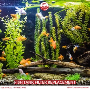Fish Tank Filter Replacement