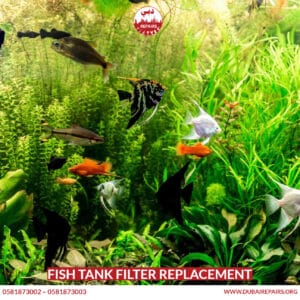 Fish Tank Filter Replacement