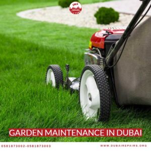 Garden Maintenance in Dubai