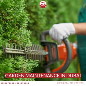Garden Maintenance in Dubai