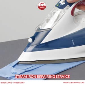Steam Iron Repairing Service 