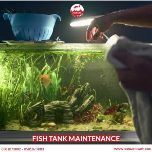 Fish tank maintenance