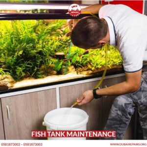 Fish tank maintenance