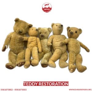 Teddy restoration