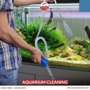 Aquarium Cleaning