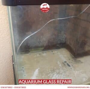 Aquarium Glass Repair