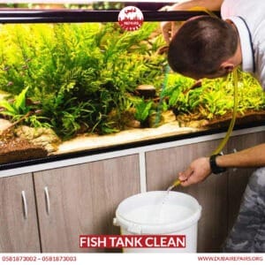 Fish Tank Clean